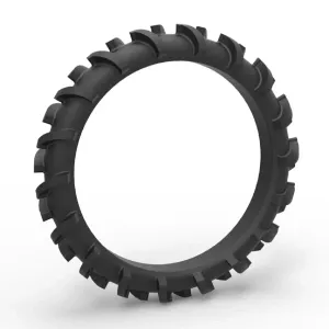 Rear tire of Swamp buggy Scale 1:25