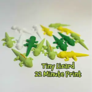 Tiny Lizard