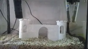Castle wall for aquarium – Muraille de château pour aquarium