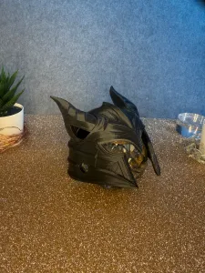 hElmet cat