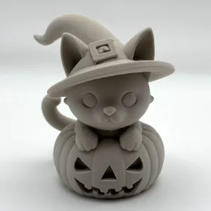 Pumpkin Cat