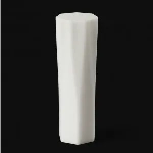 Travel Container for Cotton Swabs