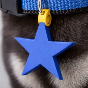 Pet Collar Star Charm