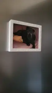 Photo frame 80x100