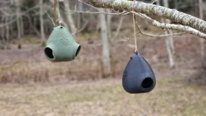 Dual-Port Bird Feeder