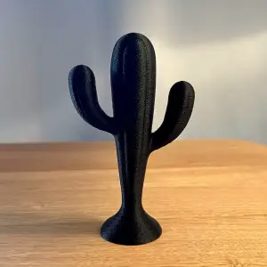 Cactus Decor