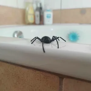 Prank Spider