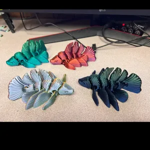 beta fish