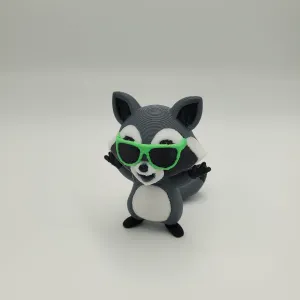 Cool Racoon