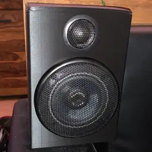 Midrange Speaker for the living room
