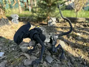 Alien, xenomorph young
