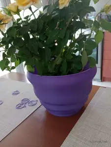 Flower pot