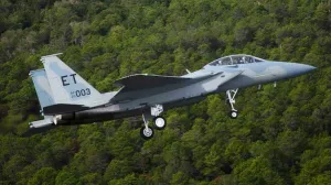 F 15 in Parts - McDonnell Douglas F-15 Eagle in Parts