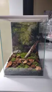 5x7 terrarium