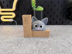 Cute Cat