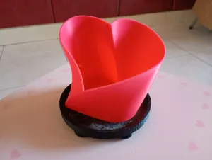 Twisted Heart flower pot