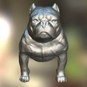 Bully Dog American