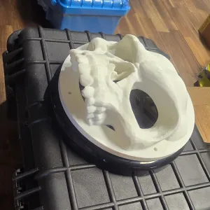 Skull speaker cover