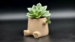 树桩发芽磁吸花盆