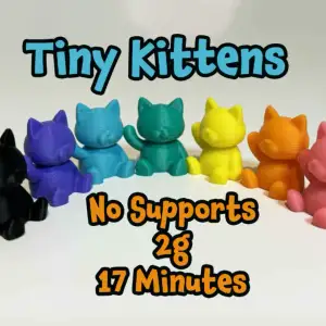 Tiny Kittens
