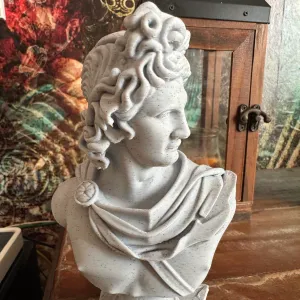 🏛️ Roman Nobleman Bust - Classical Antiquity Series