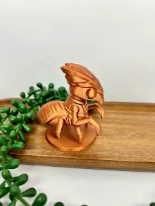 insect