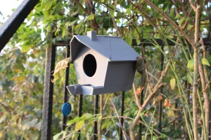 Bird House - Bird Nest