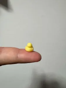 World's Smallest Duck
