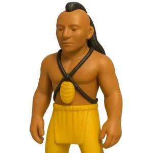Indian in the cupboard