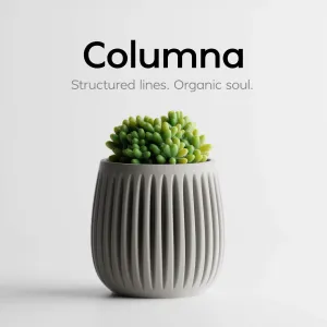 Columna – Structured lines. Organic soul.