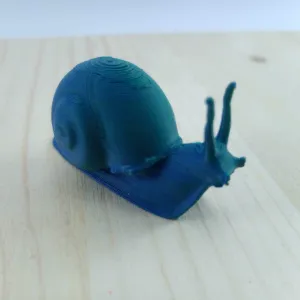 Snail