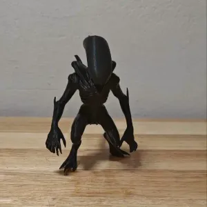 Xenomorph