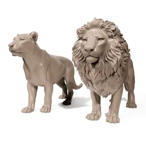Lion and Liones