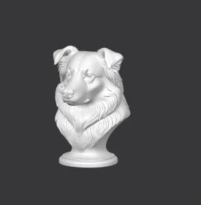 Australian Shepherd Dog Bust