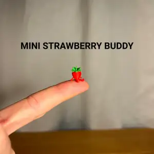 Mini Strawberry Buddy