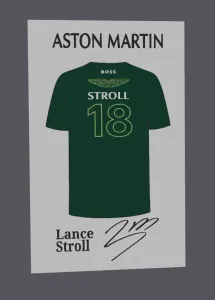 F1 - Aston Martin Lance Stroll Jersey display