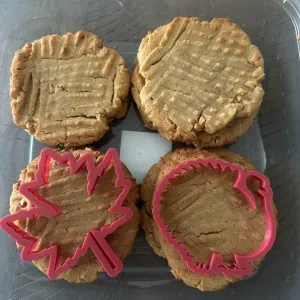 Fall Cookie Cutters