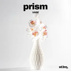 Prism ⬝ Vase