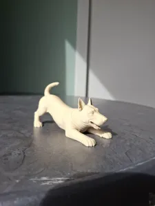 Playful Bull Terrier Puppy