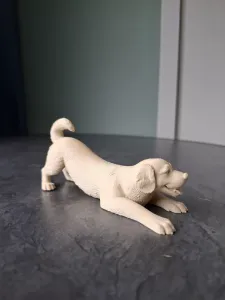 Playful Labrador Retriever Puppy