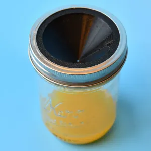 Wide Mouth Fruit Fly Trap