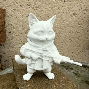 Cat soldier with a rifle in his hand