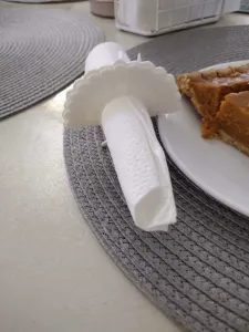 napkins rings thanksgiving