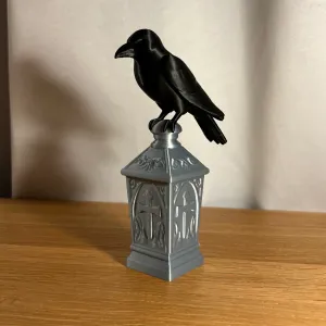 Crow on Lantern