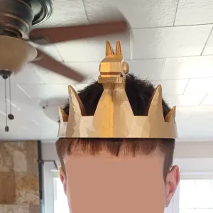 Fortnight Crown