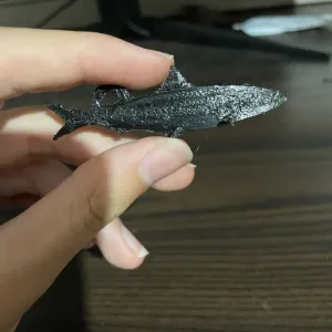 Fich keychain