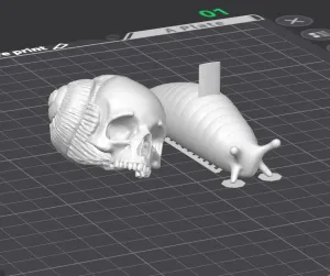 Snail Skull - Caracol Calavera