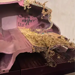 Reptile Hide for Leopard Geckos and similar Animals