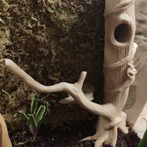 Log or Tree with branch for Terrarium Tank