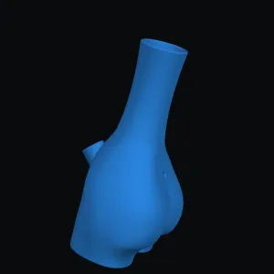 Ozzys Booty bong